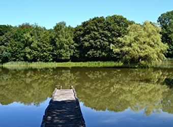 Le Sentier des Étangs de la Bresse Jurassienne - SERGENAUX