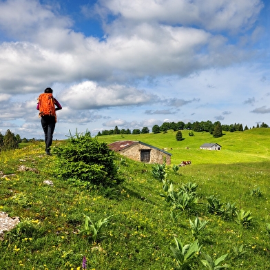 Echappée Jurassienne Pédestre - Étape 17 : Lajoux - St-Claude