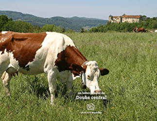 Gite Le p'tit Brun  - BELVOIR