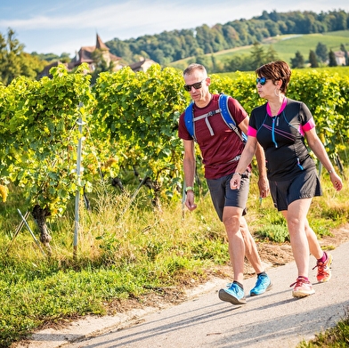Echappée Jurassienne Pédestre – Etape 19 : Saint Cergue – Gare de Gland