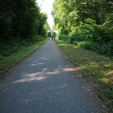 Tronçon Chaumergy – Chaux en Bresse de la voie de la Bresse Jurassienne