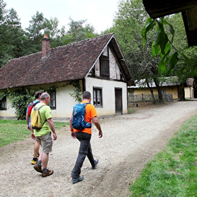 Echappée Jurassienne Pédestre - Étape 1 : Dole - La Vieille Loye