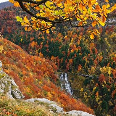 Echappée Jurassienne Pédestre - Étape 11 : Chatillon - Menetru en Joux
