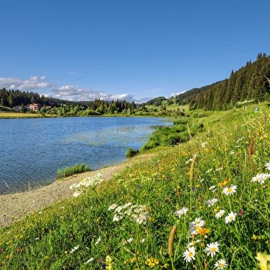 Echappée Jurassienne VTT - Étape 6 : Les Rousses - Saint Claude