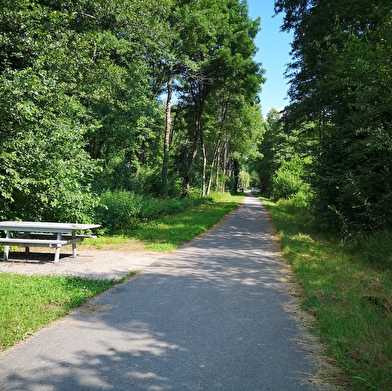 Tronçon Chaumergy – Chaux en Bresse de la voie de la Bresse Jurassienne