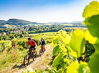 Echappée Jurassienne VTT - Étape 3 : Poligny - Perrigny - POLIGNY