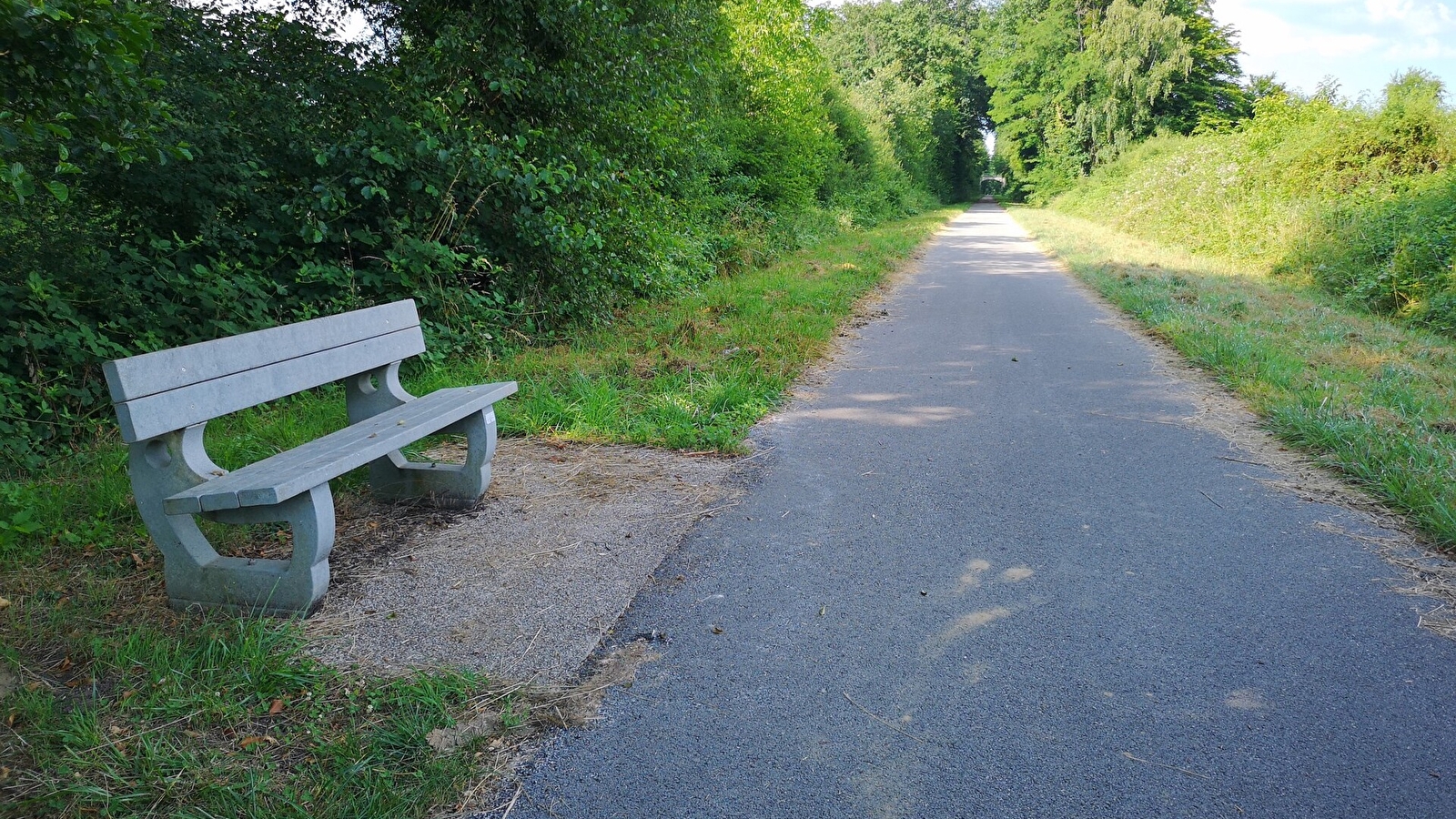 Tronçon Chaumergy – Chaux en Bresse de la voie de la Bresse Jurassienne