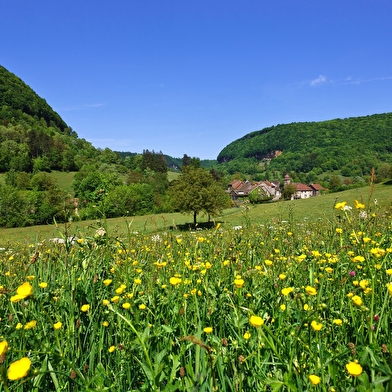 Echappée Jurassienne Pédestre - Étape 8 : Passenans - Granges sur Baume