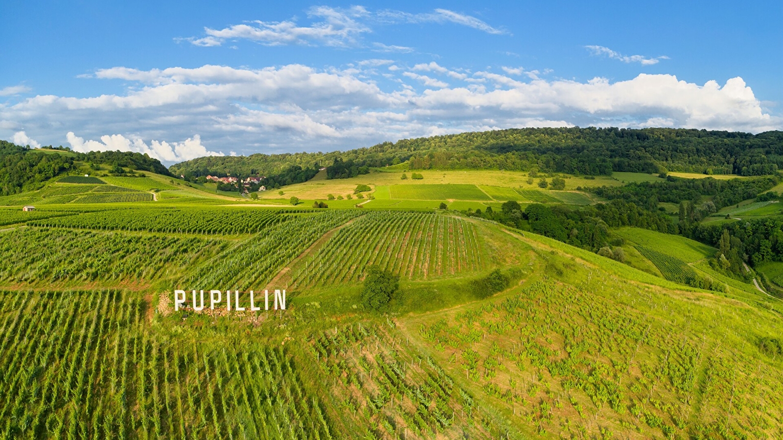 Echappée Jurassienne Pédestre - Étape 6 : Les Planches Pres Arbois - Poligny