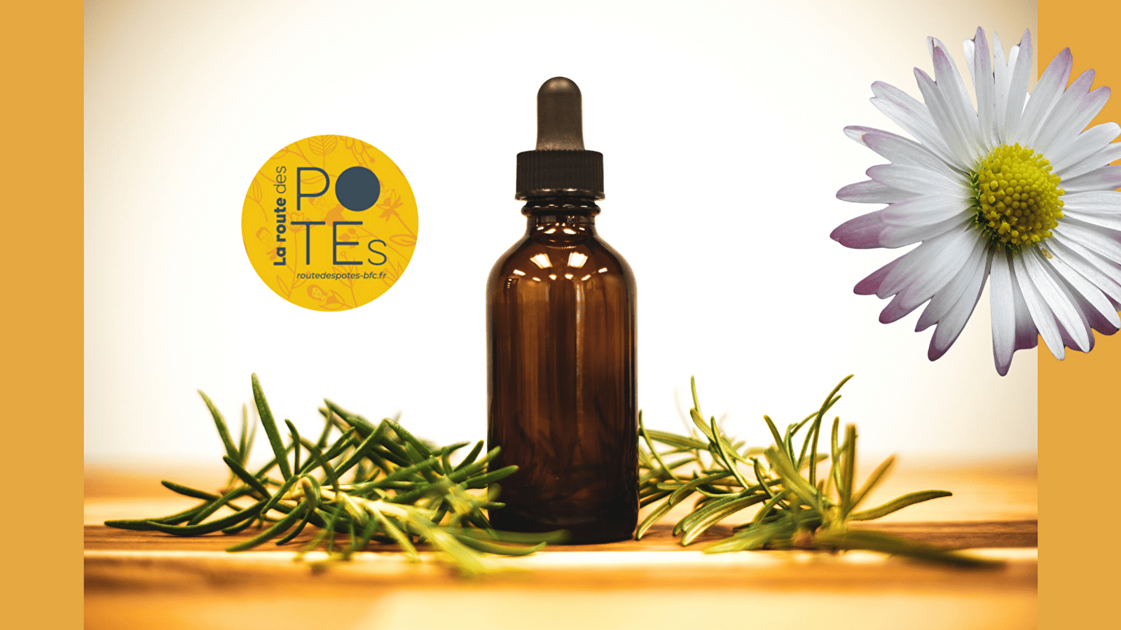 Atelier 'fabrication de macérat huileux à partir de plantes du jardin'